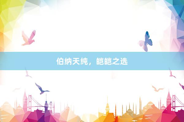 伯纳天纯，皑皑之选