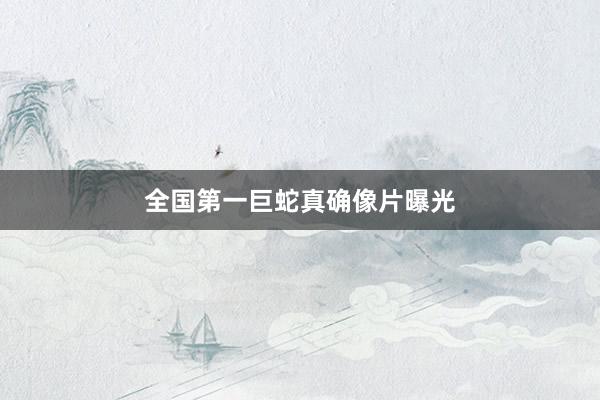 全国第一巨蛇真确像片曝光